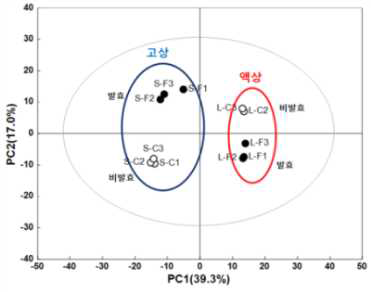 발효에 의한 대사체 변화의 다변량 분석(PLS-DA)
