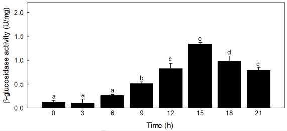 배양시간에 따른 L. mesenteroides MSL129 균주의 β-glucosidase 효소활성 변화