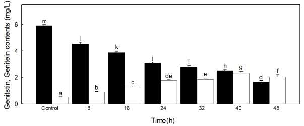 발효시간에 따른 발효 전, 후 genistin 및 genistein 함량 비교 - ■: genistin, □: genistein