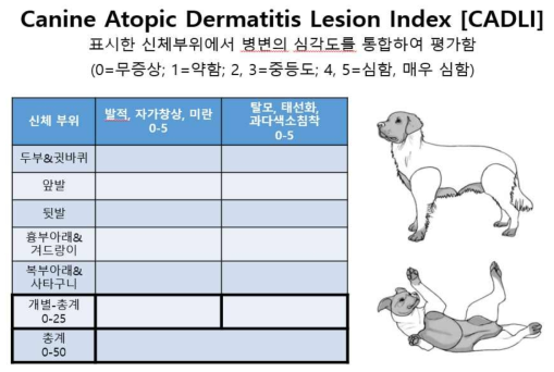 Canine Atopic Dermatitis Lesion Index [CADLI]