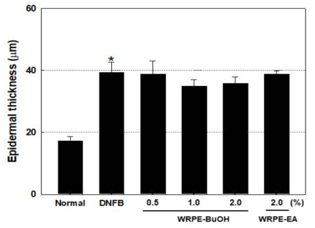 Epidermal thickness in DNFB-induced chronic atopic dermatitis. Mean±S.E. WRPE-BuOH:butanol fraction of WRPE-MeOH extract, WRPE-EA: ethyl acetate fraction of WRPE-MeOH extract