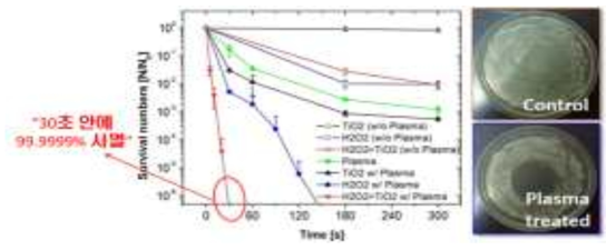 플라즈마와 TiO2 나노입자 광촉매를 이용한 살균 가속화 기술
