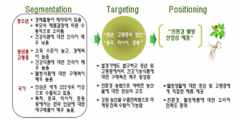 STP(segmentation, targeting, positioning) 분석을 통한 마케팅 전략 수립