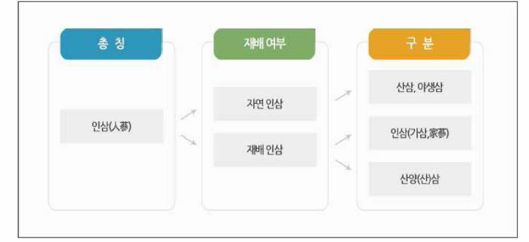 재배 방법에 따른 인삼 구분