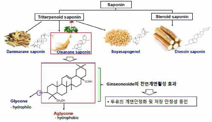 Ginsenoside의 계면 안정화 메커니즘