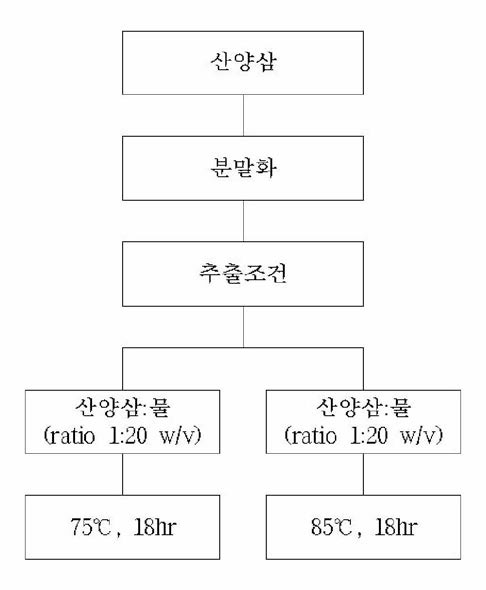 산양삼 물 추출물 제조공정도