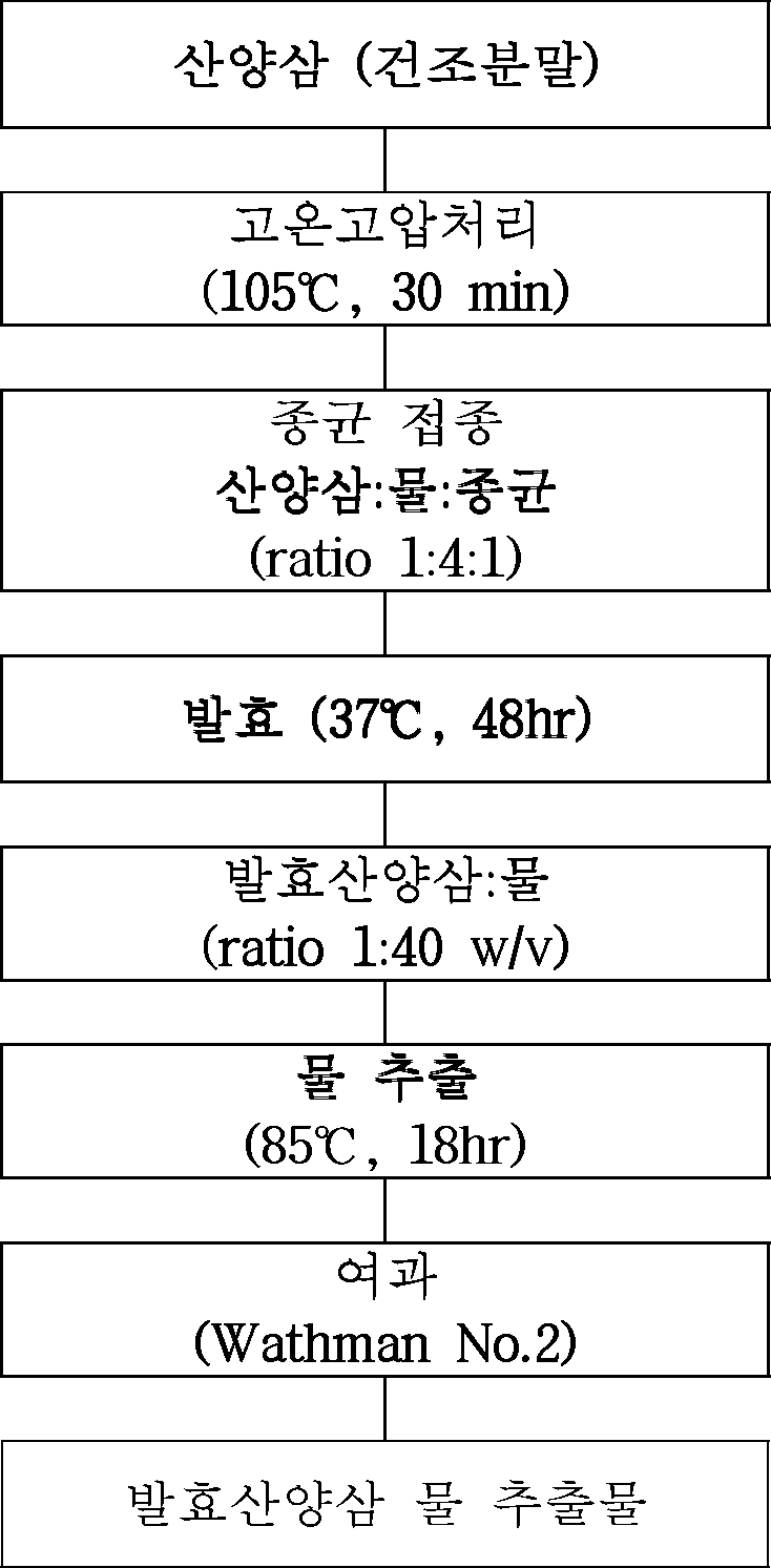 발효산양삼 분말 및 물 추출물 원료 제조공정도