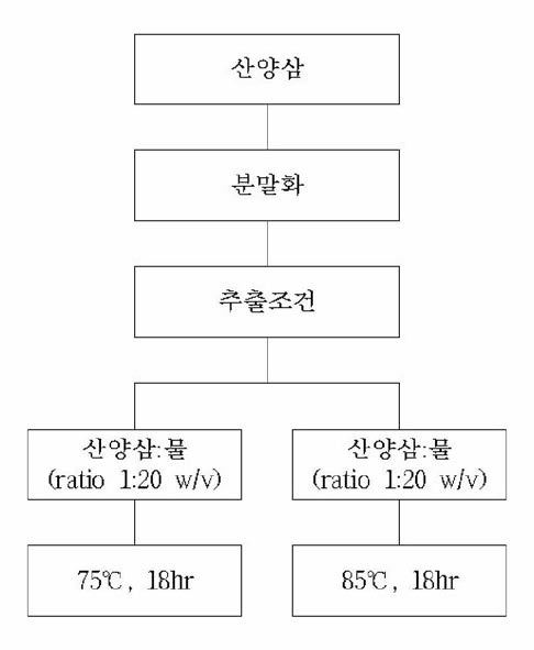 산양삼 물 추출물 제조공정도