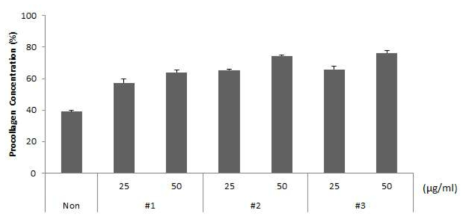 복합 유산균 발효추출물 #1~#3의 Procollagen 합성률