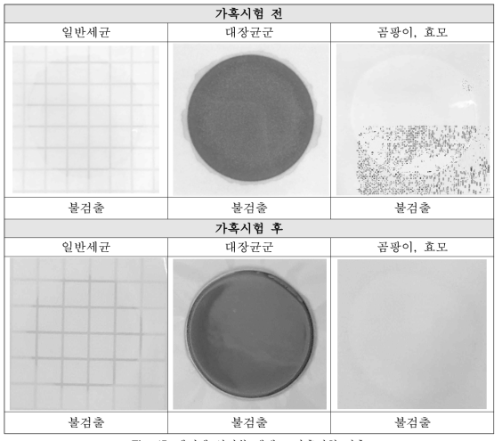 셀비엔 인진쑥 에센스 가혹시험 전후