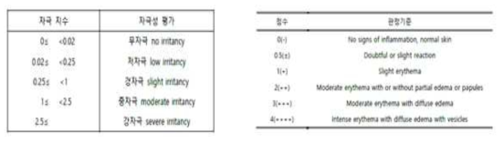패치테스트 피부자극 판정표 및 피부 자극성 점수 시스템