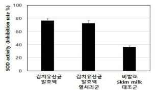 항산화 활성 우수 김치유산균주 분리