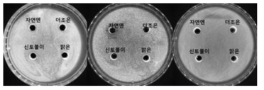 배·도라지 음료 4종의 병원성 미생물에 대한 항균활성 비교