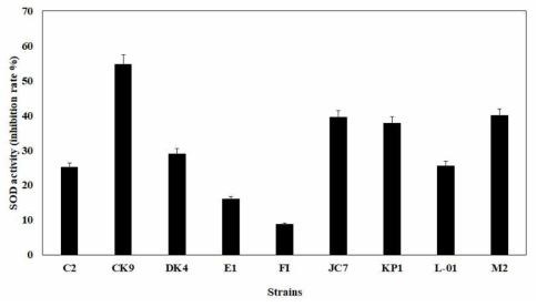 김치유산균 배양액의 항산화 활성 비교