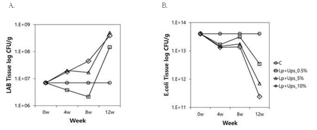 Number of bacteria attached on the surface of ascending colon of rats with oral administration of Lactobacillus plantarum VH13 +Undaria pinnatifida Sporophyll. C, control; 0.5%, 5%, 10%, different dosages of Undaria pinnatifida Sporophyll employed (see text for absolute quantity). A. Number of facultative Lactic acid bacteria per gram tissue as measured by dilution plating; B. Number of E coli per gram tissue as measured by dilution plating