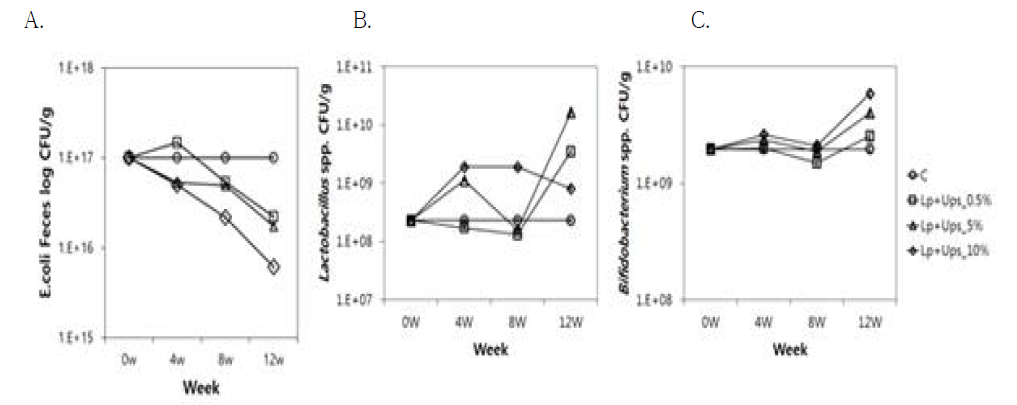 Number of bacteria in rat feces with oral administration of Lactobacillus plantarum VH13 +Undaria pinnatifida Sporophyll. C, control; 0.5%, 5%, 10%, different dosages of Undaria pinnatifida Sporophyll employed (see text for absolute quantity). A. Number of E. coli as measured by dilution plating; B. Number of Lactobacillus spp. as measured by quantitative PCR; C. Number of Bifidobacterium spp. as measured by quantitative PCR