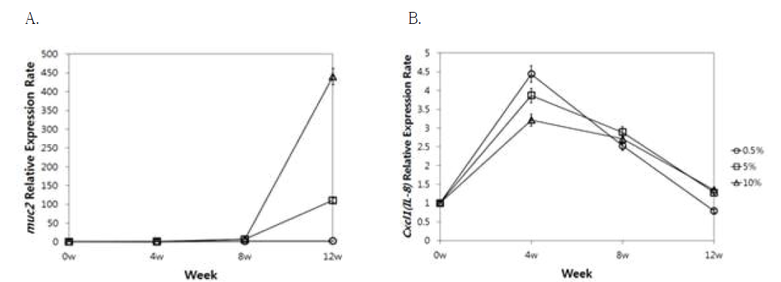 Increased expression of muc2 gene in mucosal epithelium of descending colon with oral administration of Lactobacillus plantarum VH13+Undaria pinnatifida Sporophyll in rats. C, control; 0.5%, 5%, 10%, different dosages of Undaria pinnatifida Sporophyll employed (see text for absolute quantity). A, relative muc2 expression rate; B, relative cxcl1 expression rate