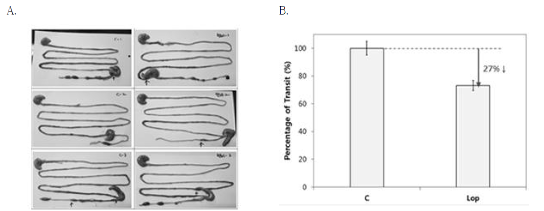 Transit of Carmine Red in rat gut. C, Control; 변비, Loperamide. A. Picture of total gut. Arrow marks indicate the position of Carmine Red. B. Relative transit percentage of Carmine Red