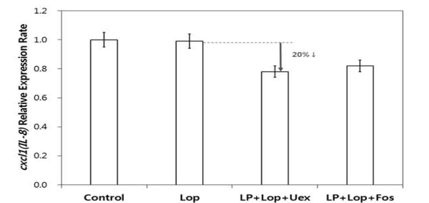 Relative expression of Cxcl1 gene in mucosal epithelium of descending colon of rats with oral administration of synbiotics of Lactobacillus plantarum VH13+ Undaria pinnatifida Sporophyll hotwater extract. Control, none; Lop, Loperamide; LP, L. plantarum VH13; Uex, Undaria pinnatifida Sporophyll extract; Fos, Fructooligosaccharide