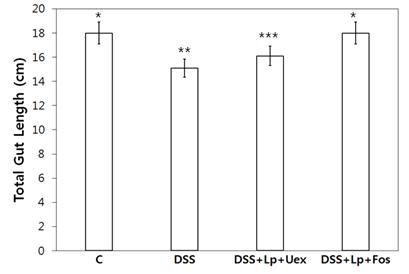 Total gut length of rats fed with Dextran sulfate sodium with or without synbiotics. DSS, Dextran sulfate sodium; LP, L. plantarum VH13; Uex, Undaria pinnatifida Sporophyll extract; Fos, Fructooligosaccharide