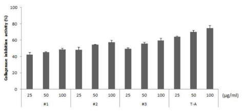 복합 유산균 발효추출물 #1~#3의 Collagenase 활성 억제능