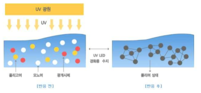 자외선 경화 수지의 경화 반응 개략도