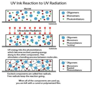 UV 경화형 수지의 중합반응 과정 및 각 구성요소의 역할