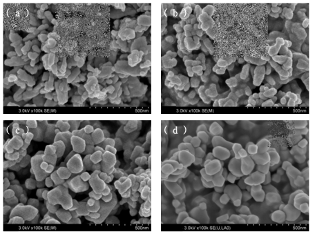 Pyrrolidone계 고분자 수지 전처리 후 하소 온도별 Ceria 분말 SEM Image ( a ) 700℃ / ( b ) 800℃ / ( c ) 900℃ / ( d ) 1,000℃