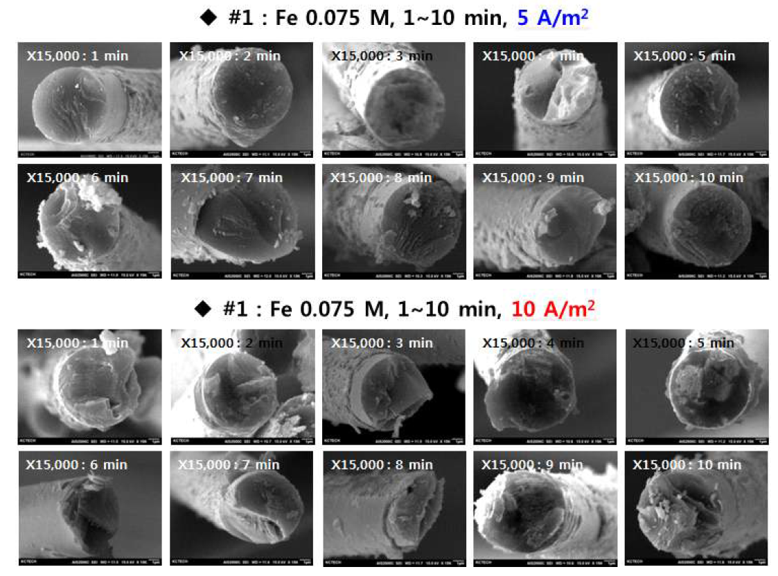 5, 10 A/m2 전류밀도에서 전해도금 된 섬유들의 단면 측정 SEM 이미지