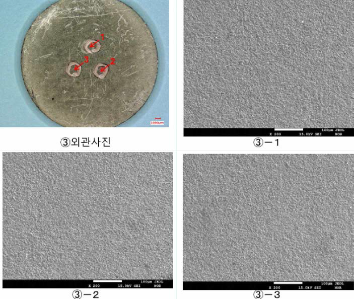 560°C OM 및 SEM