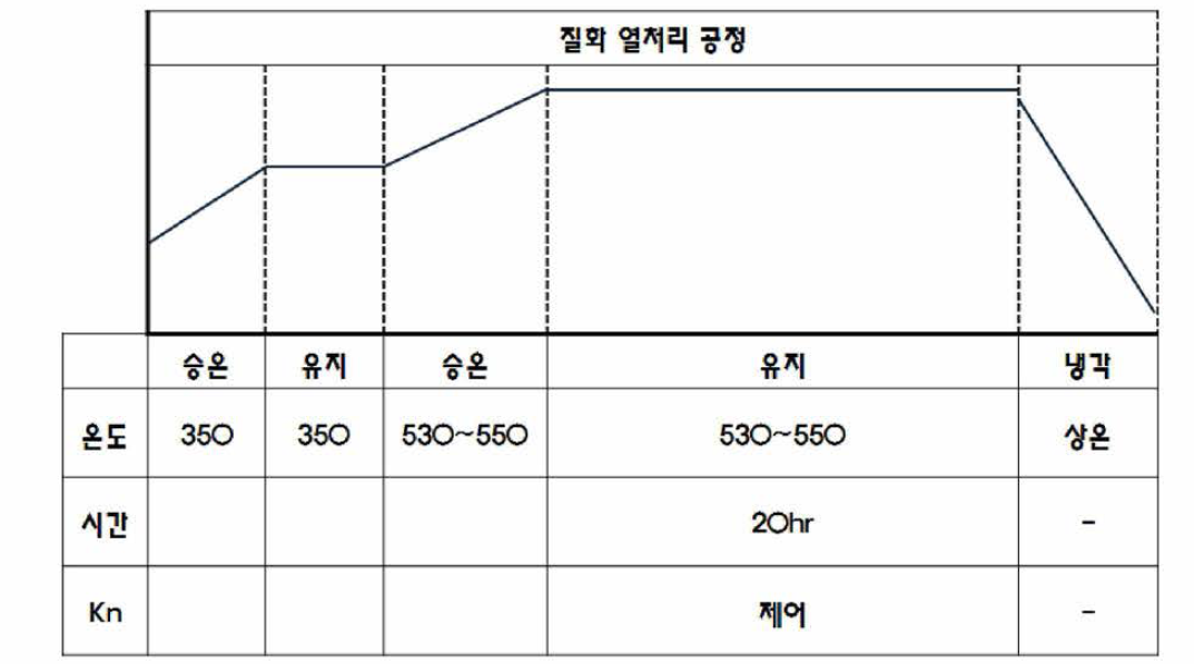 100% γ‘ 상 질화 열처리 조건