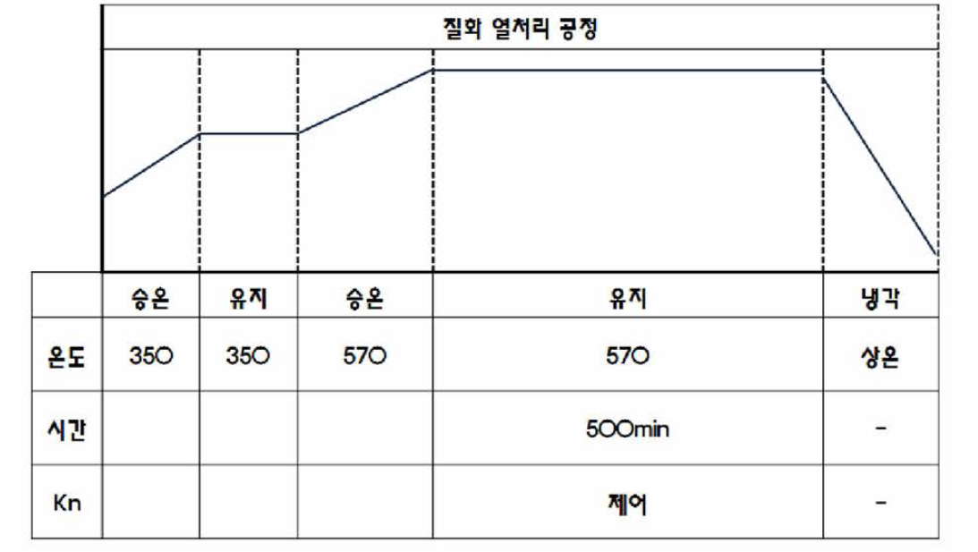 1차년도 질화 열처리 공정