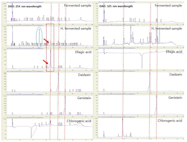 The chromatography of fermented extract and after hydrolysis sample with strandard compounds using HPLC system (DAD detector: 254, 325 nm wavelength)