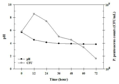 the assessment of pH and bacteria count during fermentation period