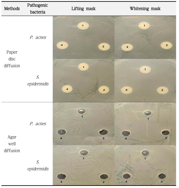 The antibacterial activity of essence both lifting mask pack and whitening mask pack to 2 pethogens