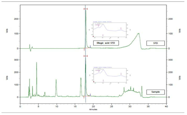 HPLC를 이용한 복분자 추출물 분석 크로마토그램