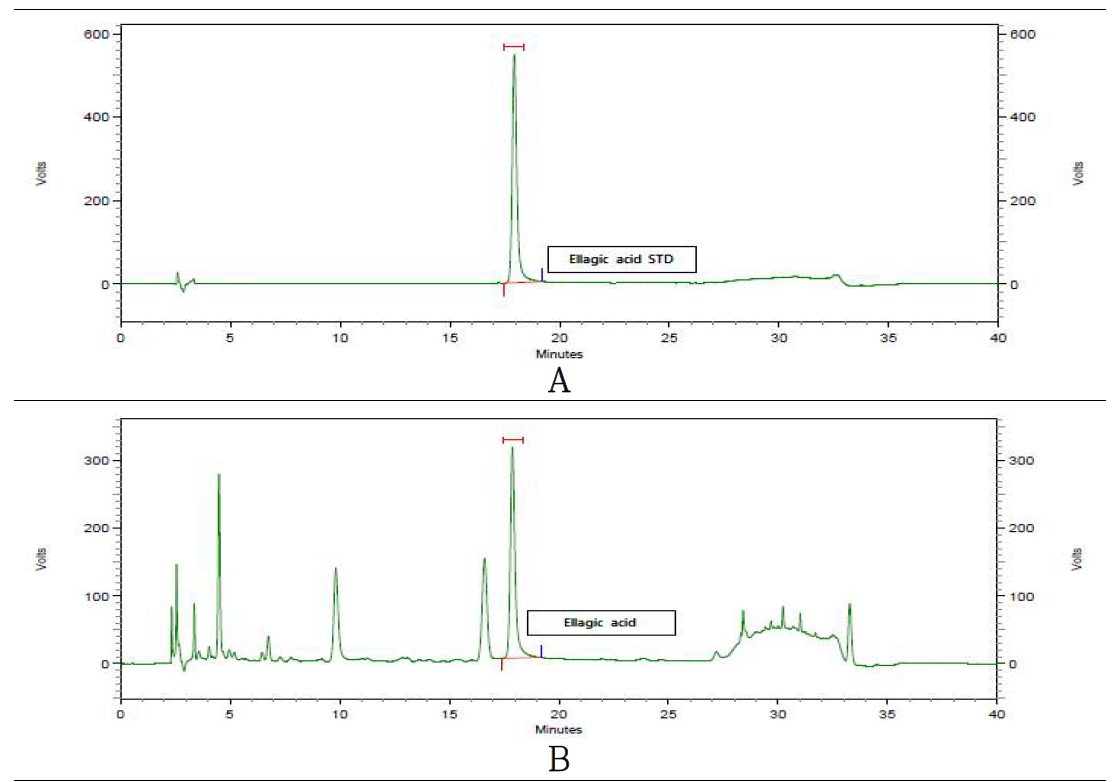 표준용액과 시험용액의 ellagic acid HPLC chromatogram (A : STD, B. Sample)