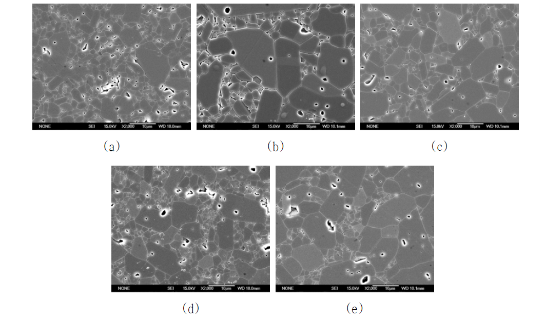 Polished surface microstructures of sintered bodies(2nd): (a) ST2, (b) CT, (c) LP2, (d) DM2, (e) PR2