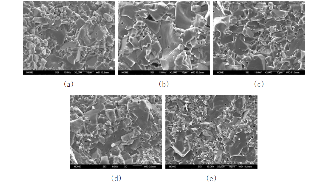 Fracture surface microstructures of forming bodies(2nd): (a) ST2, (b) CT, (c) LP2, (d) DM2, (e) PR2