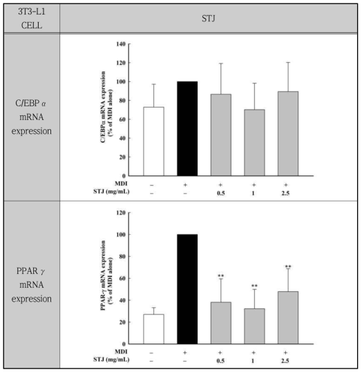 다시마추출물의 지방세포 분화인자(C/EBP α, PPARγ)의 발현에 대한 영향