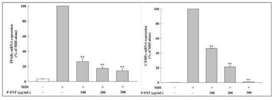 유산균발효다시마 분말스틱 시제품(P-FST)의 3T3-L1세포 분화 전사인자(PPARγ, C/EBP α) 발현에 대한 영향