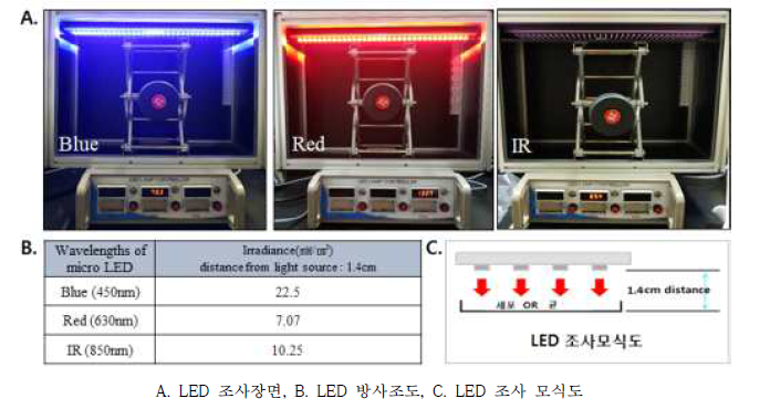 LED광선조사기