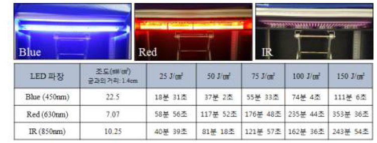 균 실험에서 LED 조사 장면과 조사 시간