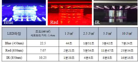 세포실험에서 LED 조사 장면과 조사 시간