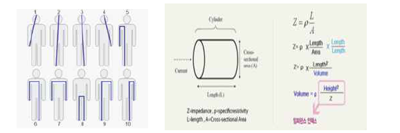 생체임피던스 측정 및 계산방법