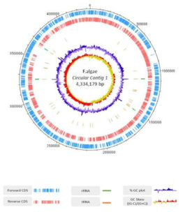 DNA plot of F. algae genome