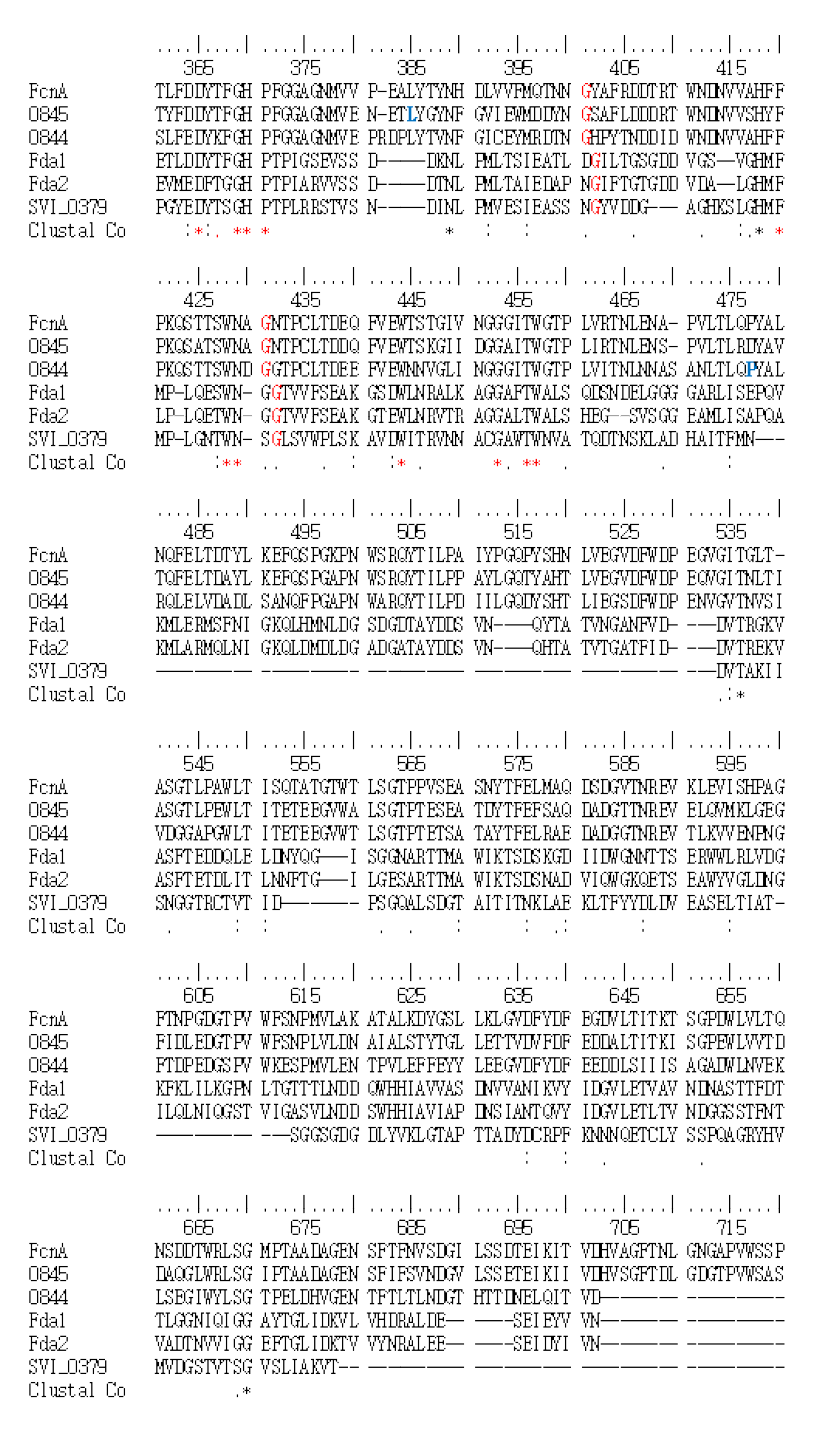 Formosa algae로부터 확보된 Fa0845와 Fa0844와의 아미노산 서열 비교 (계속)