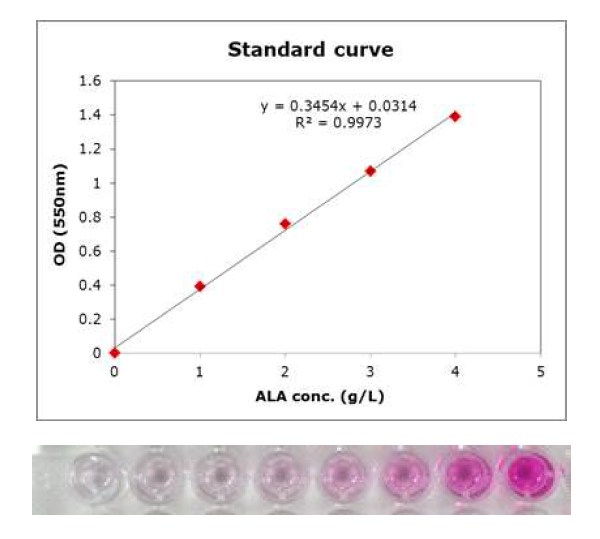 Ehrlich′s reagent를 이용한 ALA 생산량 측정 방법 및 농도 정량을 위한 표준곡선