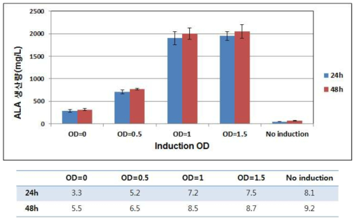 다양한 OD에서의 Induction에 따른 ALA 생산량 및 대장균의 OD값