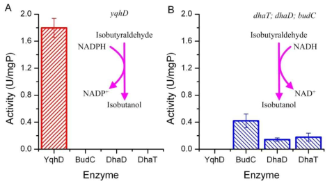 Isobutanol dehydrogenase activity of enzymes A, With NADPH; B, With NADH